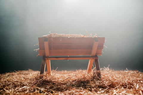 The Christmas manger