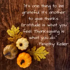 Grateful vs thankful