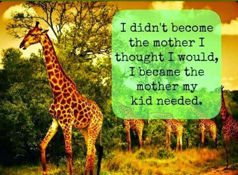 Mother giraffe saying "I didn't become the mother I thought I would be. I became the mother my child needed