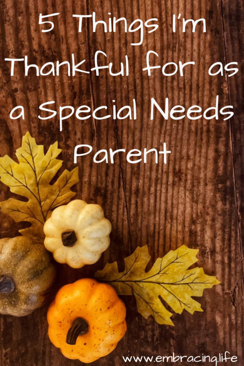 5 Things I'm Thankful for as a Special Needs Parent