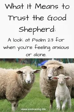 What It Means to Trust The Good Shepherd